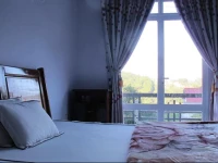 Jungle View Homestay