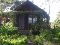 Pine Hill Homestay Dalat