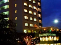 Bamboo Green Central Hotel