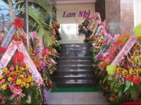 Lan Nhi Hotel