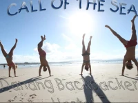 Danang Backpackers Hostel