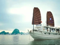 Garden Bay Premium Cruise