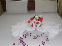 Homebackpackers Hostel