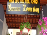 Banana Homestay Hoi An