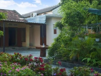 Petunia Garden Homestay and Hostel