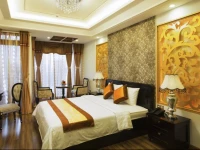 Hoang Dung - Hong Vina