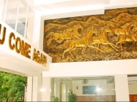 Nam Phuong Hoang Hau Hotel