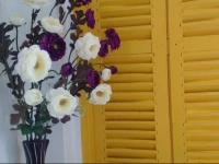 Homestay In Villa - FREE dinner