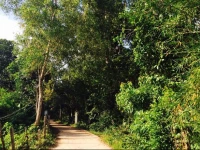 Aroma Spa & Bungalows