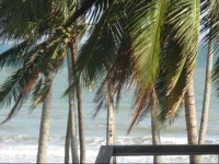 Sunrise Village Hotel