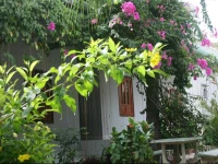 Duc Thao Guest House