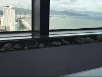 Central Sea View Apartment