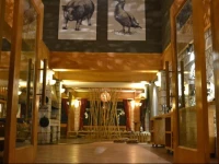 The Hill Station Boutique Hotel