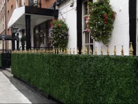 The Kildare Street Hotel