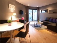 Dublin Apartments Temple Bar