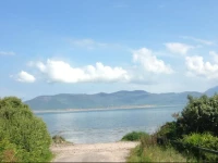 The Sleepy Camel Hostel