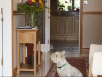 Anchor Lodge Guesthouse