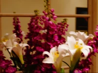 Earls Court Apartment