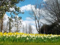 No 24 Killarney Holiday Village