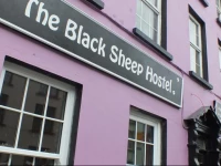 The Black Sheep Hostel
