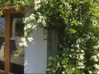 Swallows Rest Garden Apartment