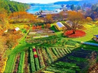 The Harbour House Hotel