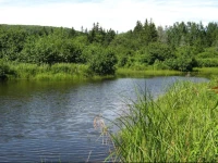 Croft House Bed & Breakfast