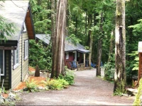 Surfs Inn Rainforest Cottages