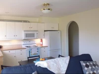 Watch The Eagles Soar From Here