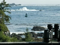 Wild Shores Guest House