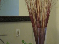 Kelowna Okanagan Lake