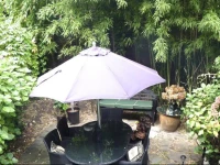 Four Bedroom House in Belgravia