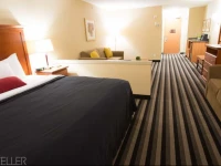 Executive Hotel Alexandra