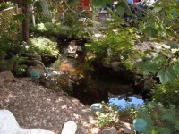 Oasis Du Vieux Longueuil