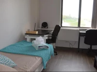 Avenue du Parc - MontrГ©al