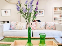 Four-Bedroom on Amherst Street