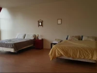 Les Lofts Mont-Royal