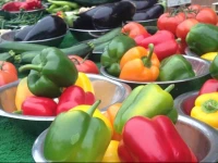 Trendy Studio in Kensington