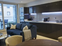 Luxurious Designer apartment