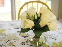 The Elizabeth Manor Guesthouse