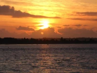 Solwood Properties Tofino