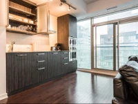 Downtown Luxury Lakeview Condo
