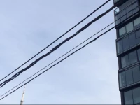 Entertainment District Modern Condo