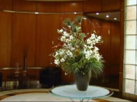 Toronto Furnished Accommodations - Yorkville