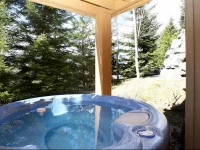 Aloha Whistler Accommodations - Upper Village & Benchlands