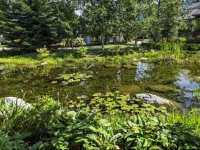 Stoney Creek Sunpath by Westwind Properties