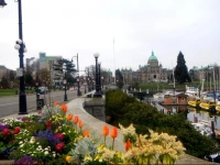 Mermaid Wharf Olde Towne Charm