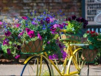 The Postern Gate Inn