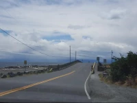 Victoria Bed and Breakfast Guest House