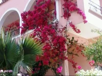 Konstantina Apartments